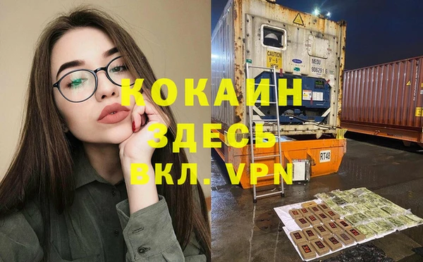 молекула духа Арсеньев