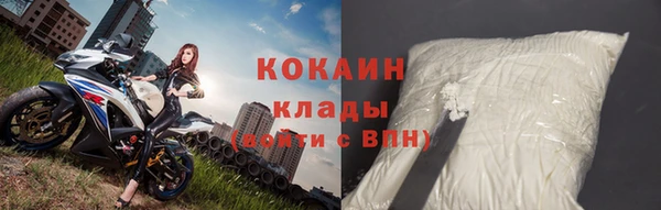 молекула духа Арсеньев