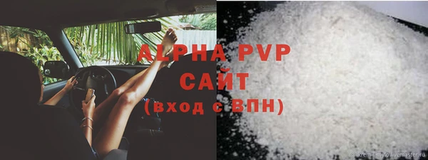 сатива Армянск