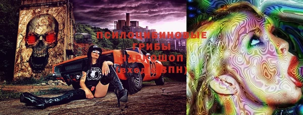 молекула духа Арсеньев