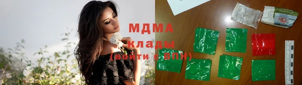 молекула духа Арсеньев