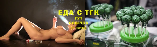 молекула духа Арсеньев