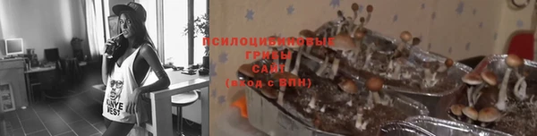 гашишное масло Аркадак