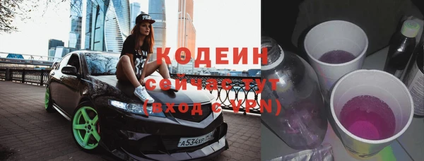 молекула духа Арсеньев
