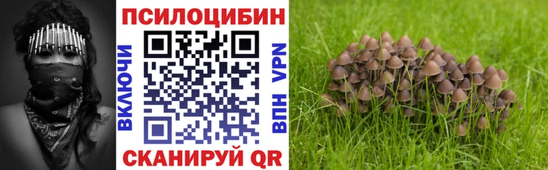 Галлюциногенные грибы Psilocybe сколько стоит Малоярославец